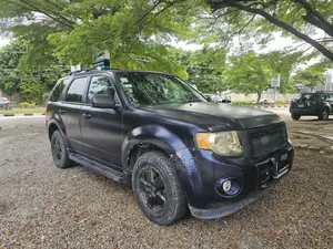 Ford Escape 2010 Blue