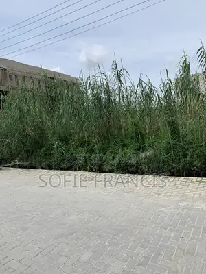 2 Plots of Landed Property for Sale