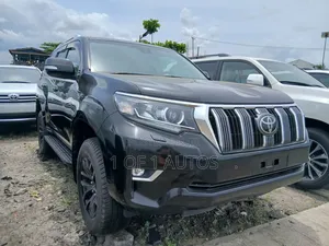 Toyota Land Cruiser 4.0 V6 EXR 2020 Gray