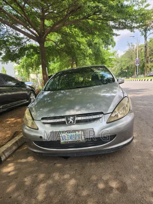 Peugeot 307 2008 Silver
