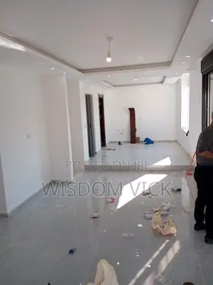 Professional Painter and Screeding