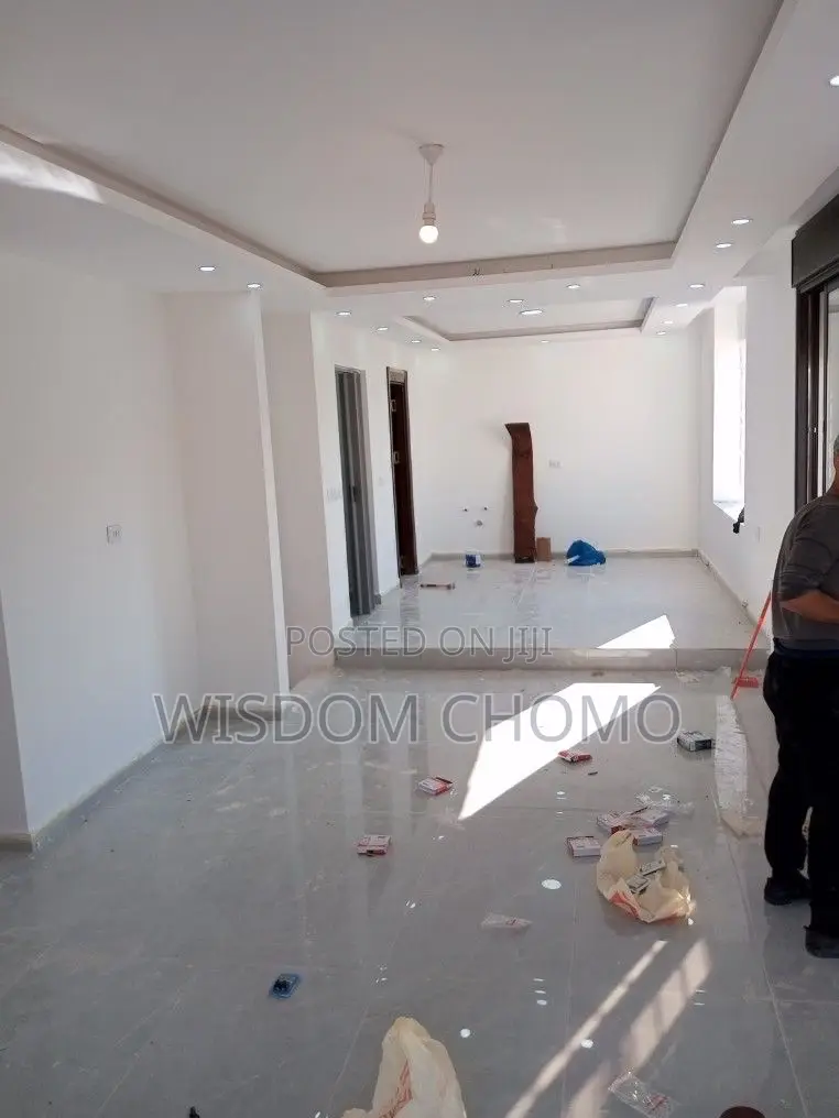 Professional Painter and Screeding