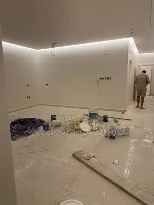 Professional Painter and Screeding