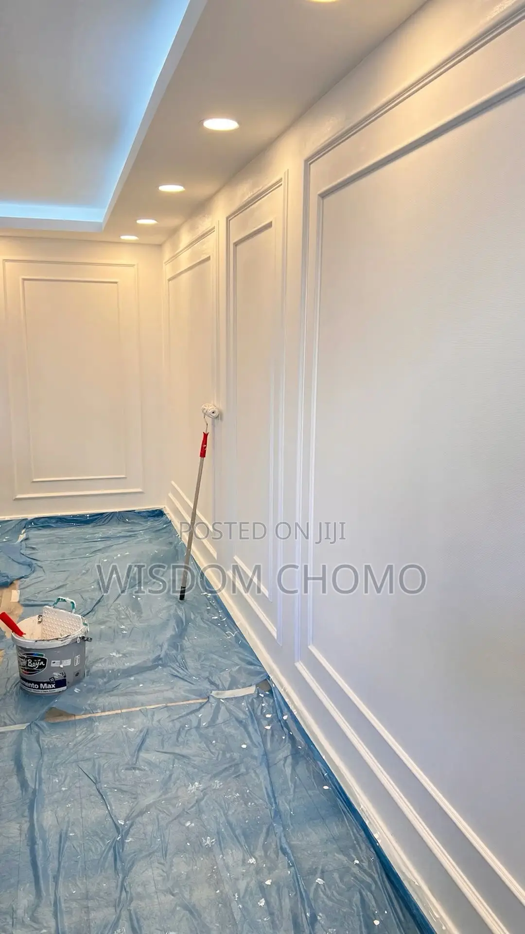 Professional Painter and Screeding