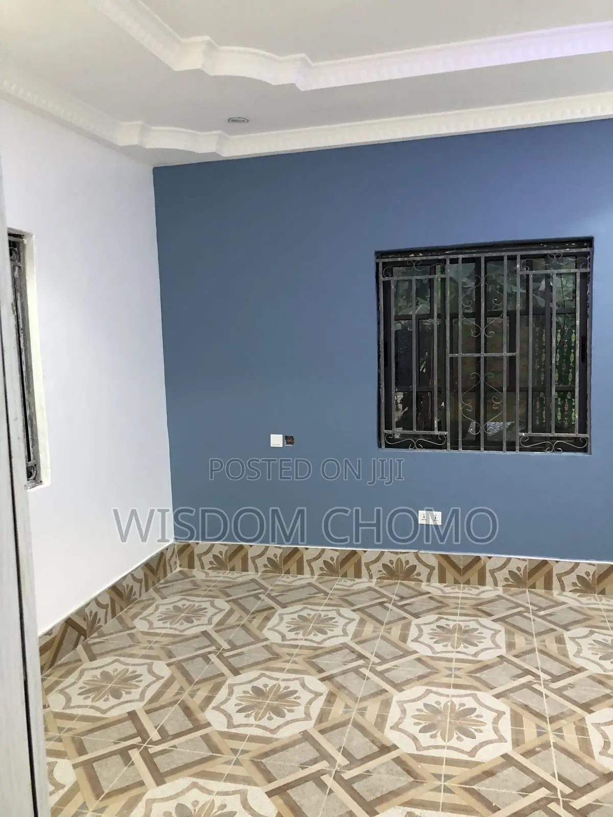 Professional Painter and Screeding