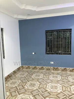 Professional Painter and Screeding