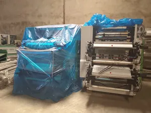 Nylon Printing Machine - 2 Color Flexo Printing Machine