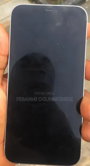 Apple iPhone 12 Pro Max 256 GB White
