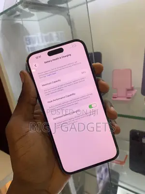 Apple iPhone 15 Pro Max 256 GB Silver