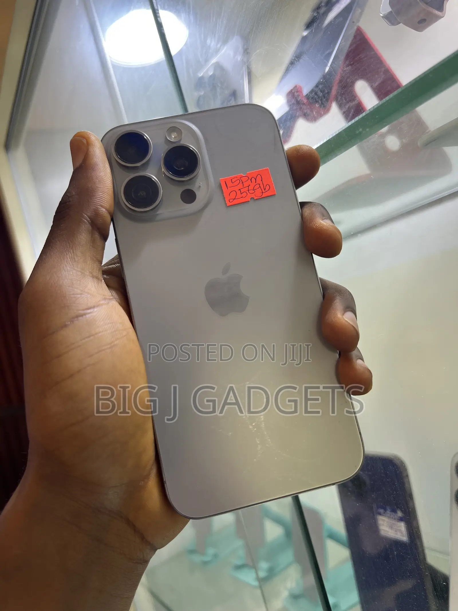 Apple iPhone 15 Pro Max 256 GB Silver