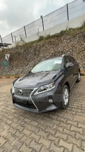 Lexus RX 350 2010 Gray