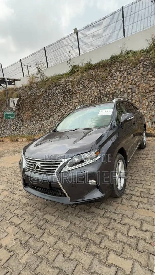 Lexus RX 350 2010 Gray