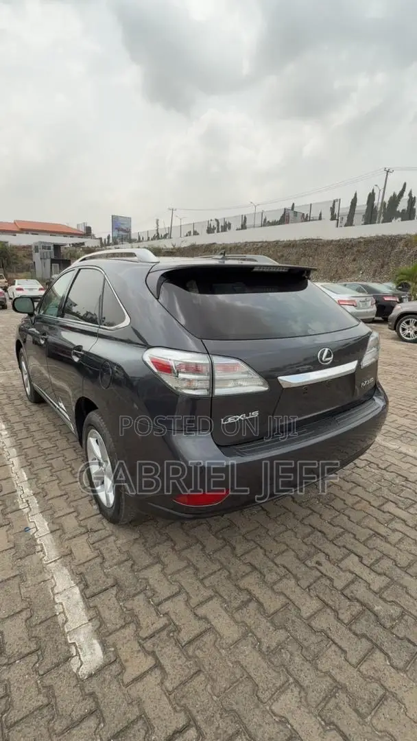Lexus RX 350 2010 Gray