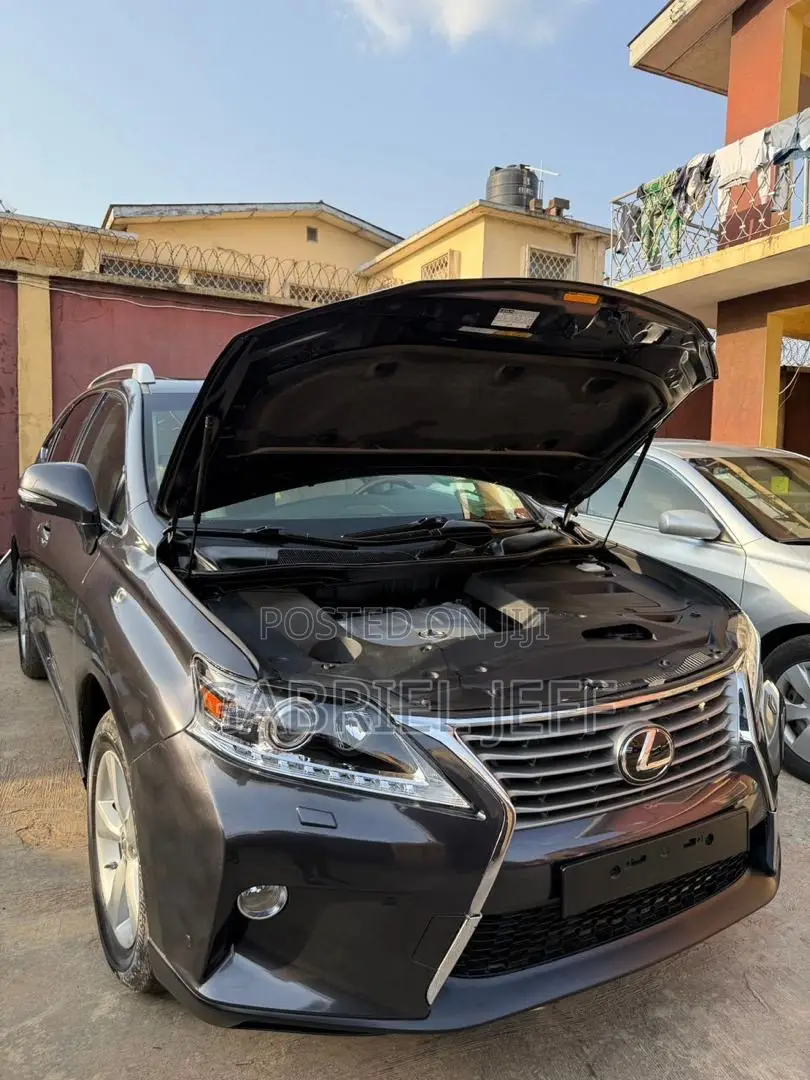 Lexus RX 350 2010 Gray