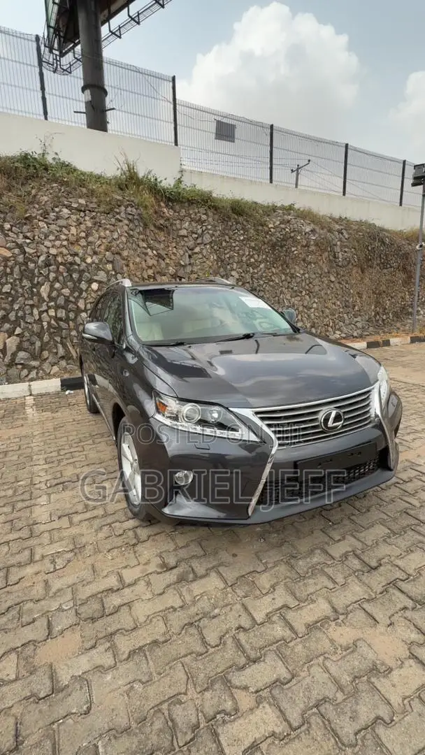 Lexus RX 350 2010 Gray