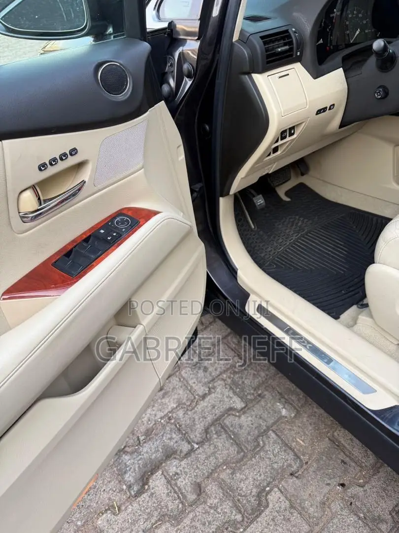 Lexus RX 350 2010 Gray