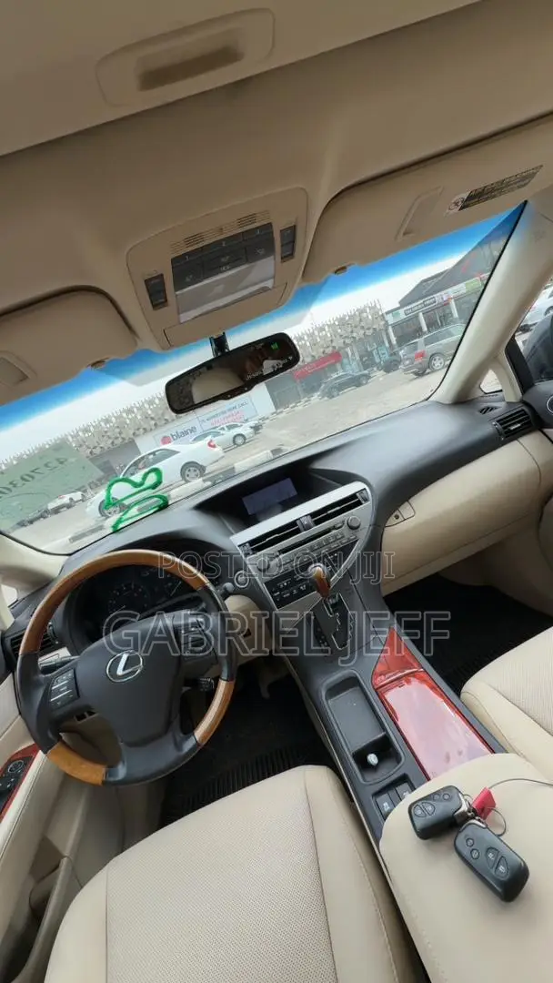 Lexus RX 350 2010 Gray