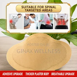 Extra-Large Lumbar Spine Pain Relief Patch (10 Pieces Per Pack)
