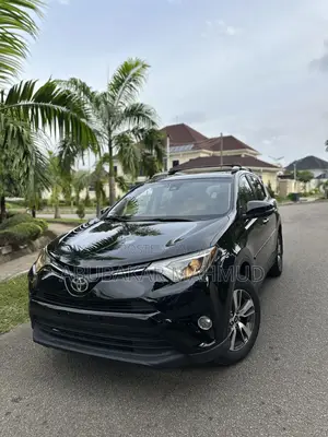Toyota RAV4 XLE AWD (2.5L 4cyl 6A) 2017 Black