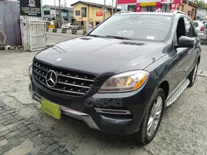 Mercedes-Benz M Class 2014 Blue