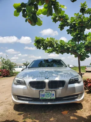 BMW 528i 2010 Silver