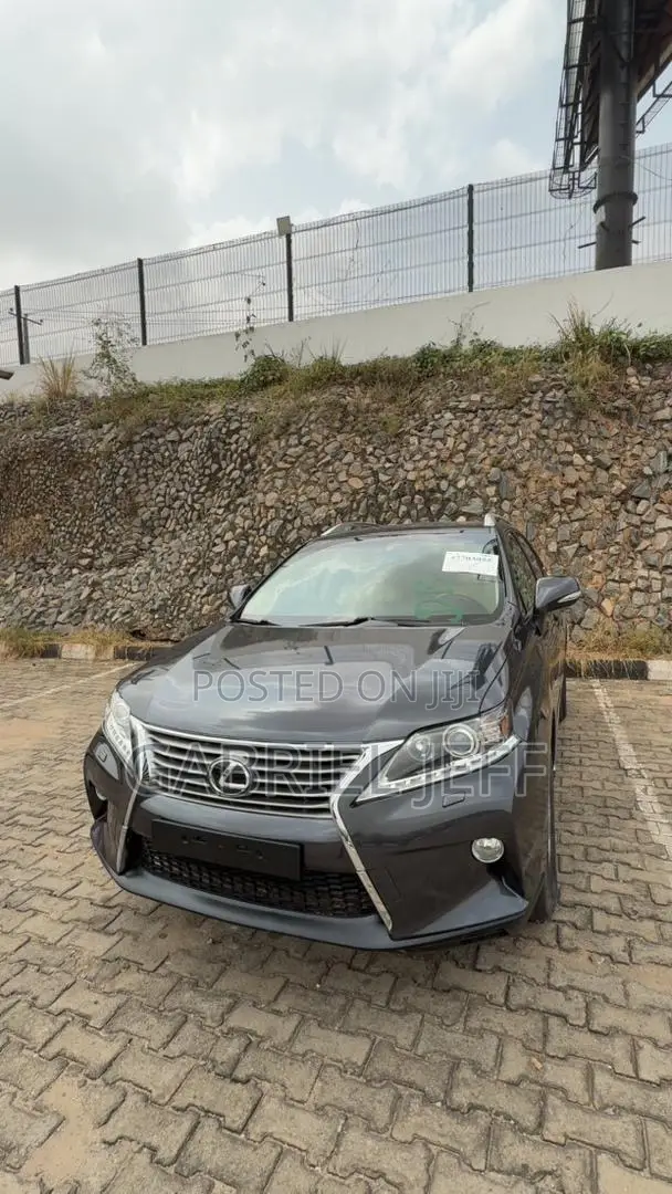 Lexus RX 350 2010 Gray