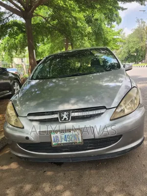 Peugeot 307 2007 Gray