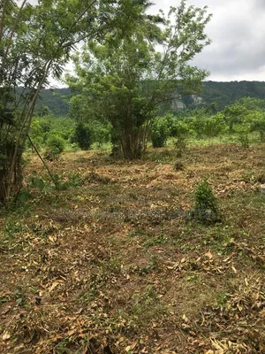 2 Plots of Land Available at Igbo Ero in Oye Local Government
