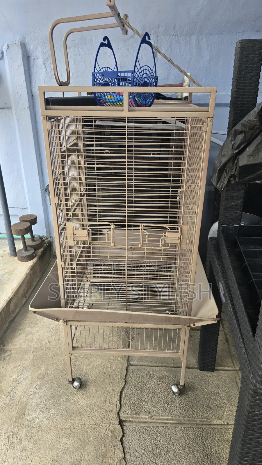 Imported Bird Cage