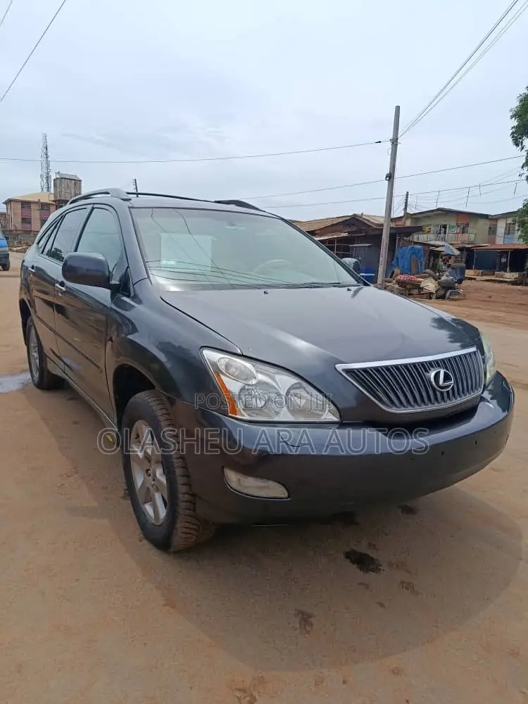 Lexus RX 330 2006 Gray