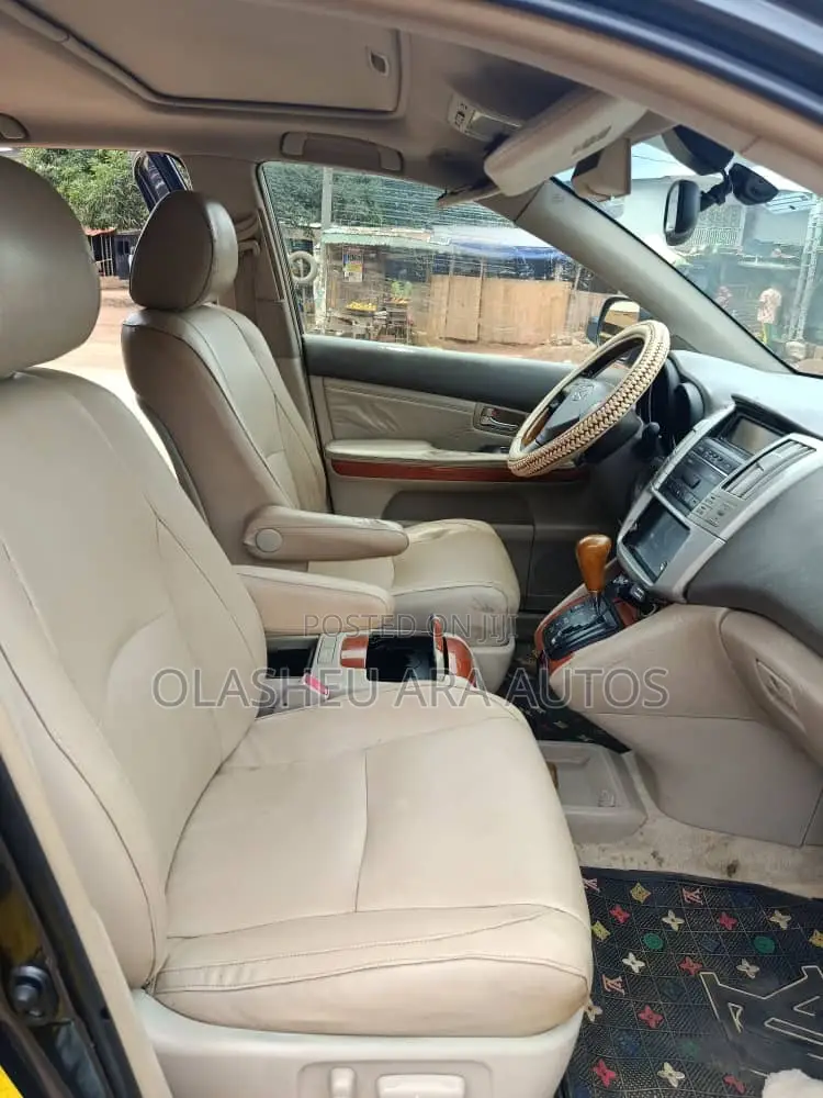 Lexus RX 330 2006 Gray