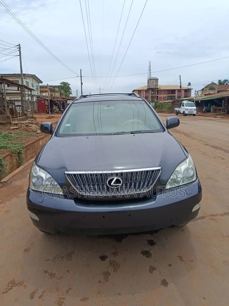 Lexus RX 330 2006 Gray