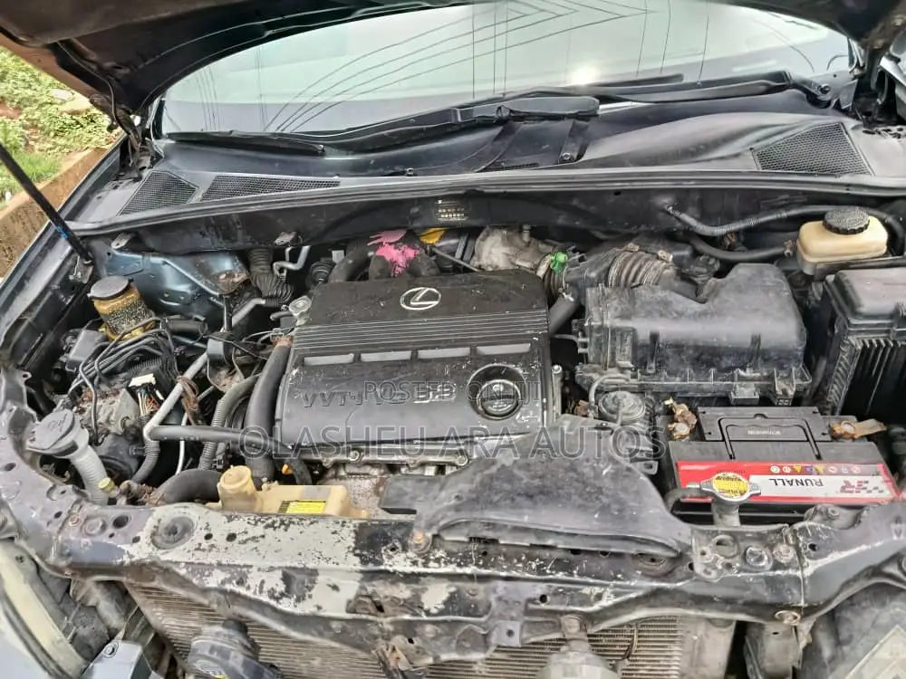 Lexus RX 330 2006 Gray