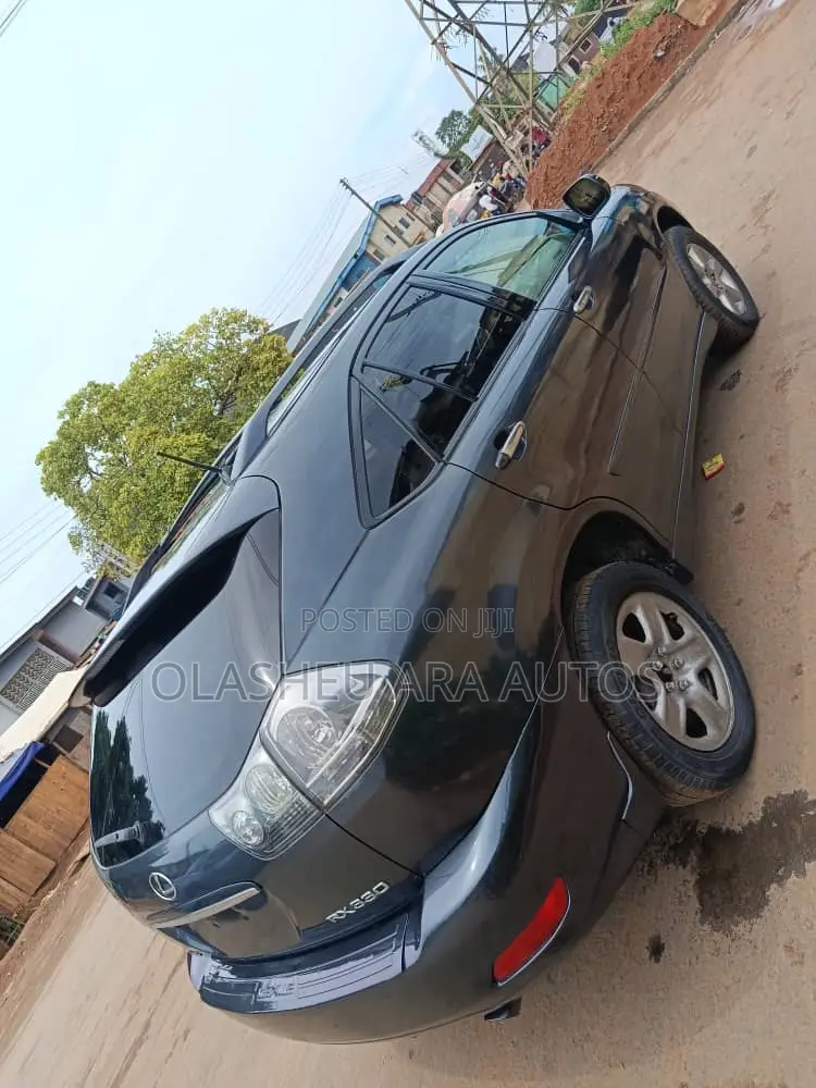 Lexus RX 330 2006 Gray