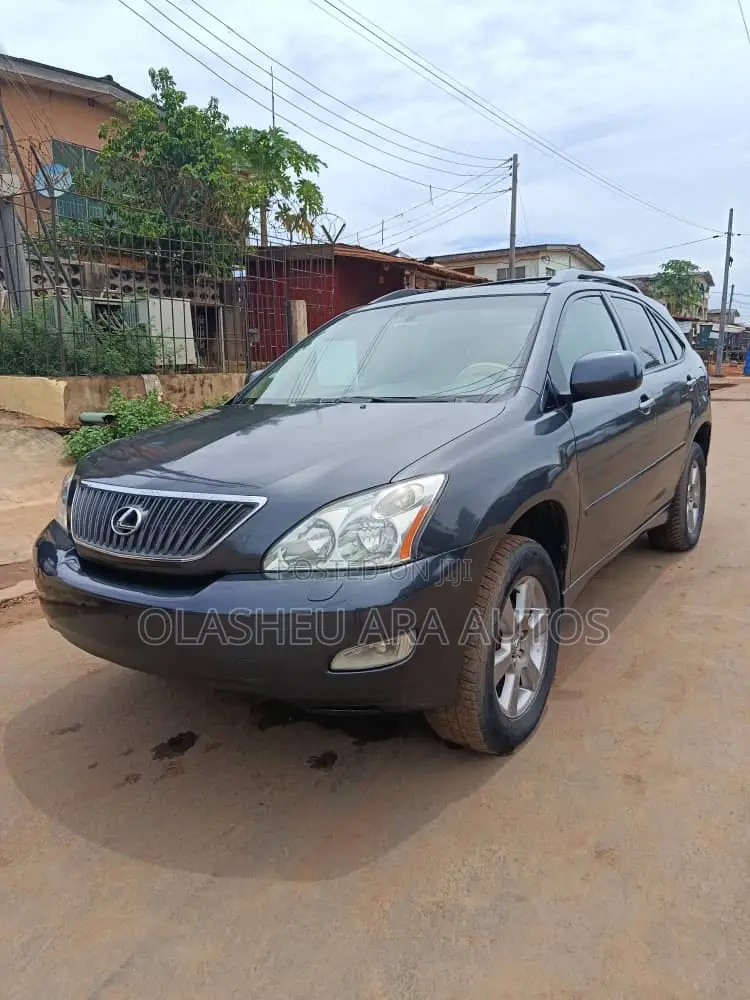 Lexus RX 330 2006 Gray
