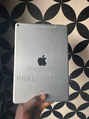 Apple iPad Air 256 GB Gray