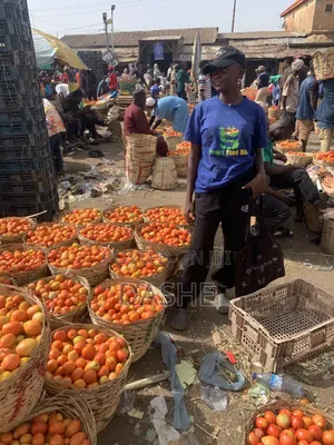 Fresh Utc Tomatoes