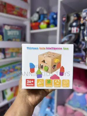 13 Hole Shape Sorter Toddler Activity Toy
