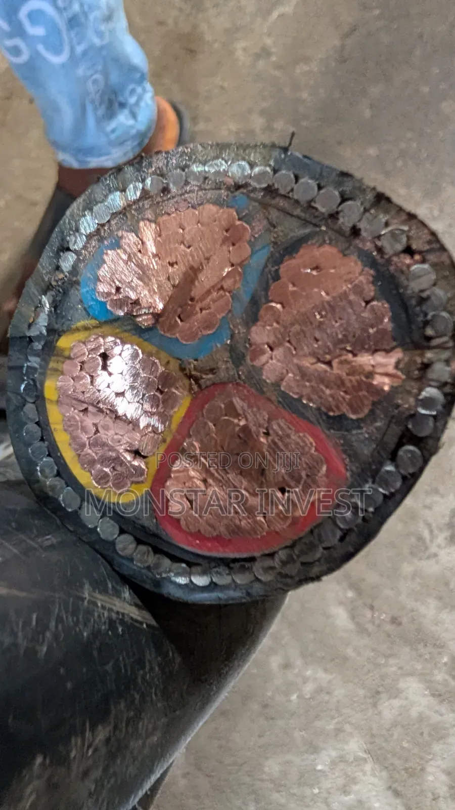 Armored Cable