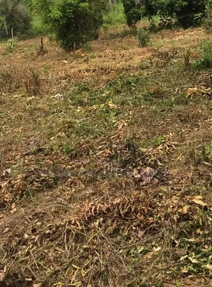 To Let A Plot Of Land At Falaegan Ilawe Road,Ado Ekiti.