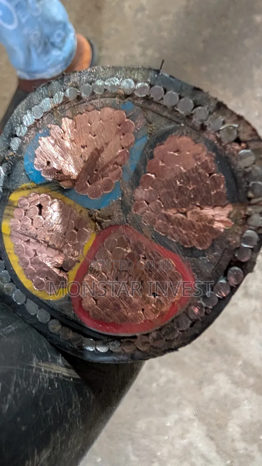 Armored Cable 150mm