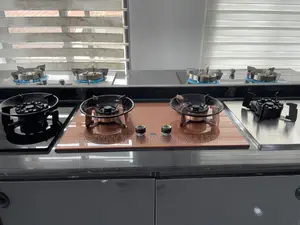 (2)-Burner Gas Cooker Features a Tempered Glass Surface
