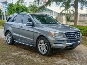 Mercedes-Benz M Class 2015 Silver