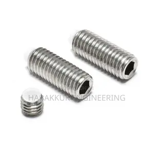 Grub Screw (Ss)
