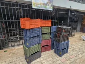 Crate - Vegetable Harvest Crate