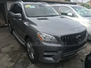 Mercedes-Benz M Class 2013 Gray