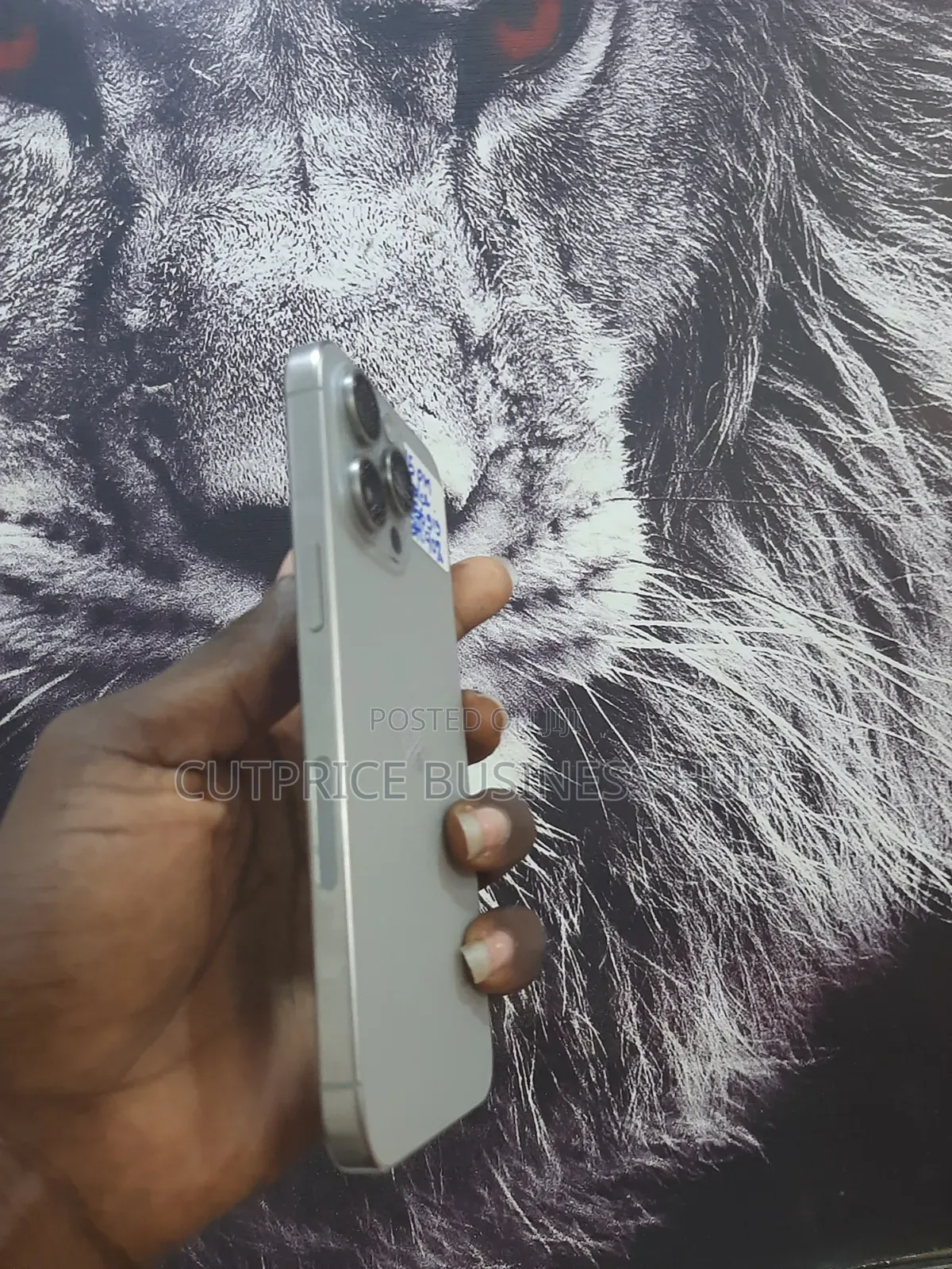 Apple iPhone 15 Pro Max 256 GB Gray