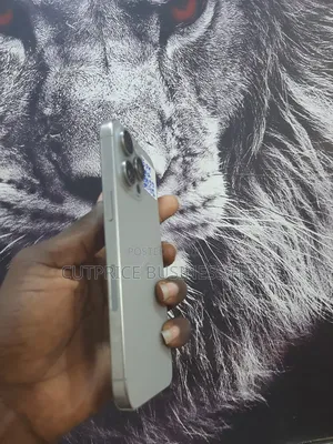 Apple iPhone 15 Pro Max 256 GB Gray