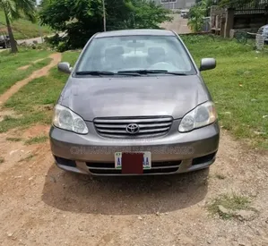 Toyota Corolla 2003 Gray