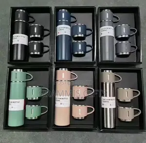 Stainless Steel Vacuum Flask Gift Set